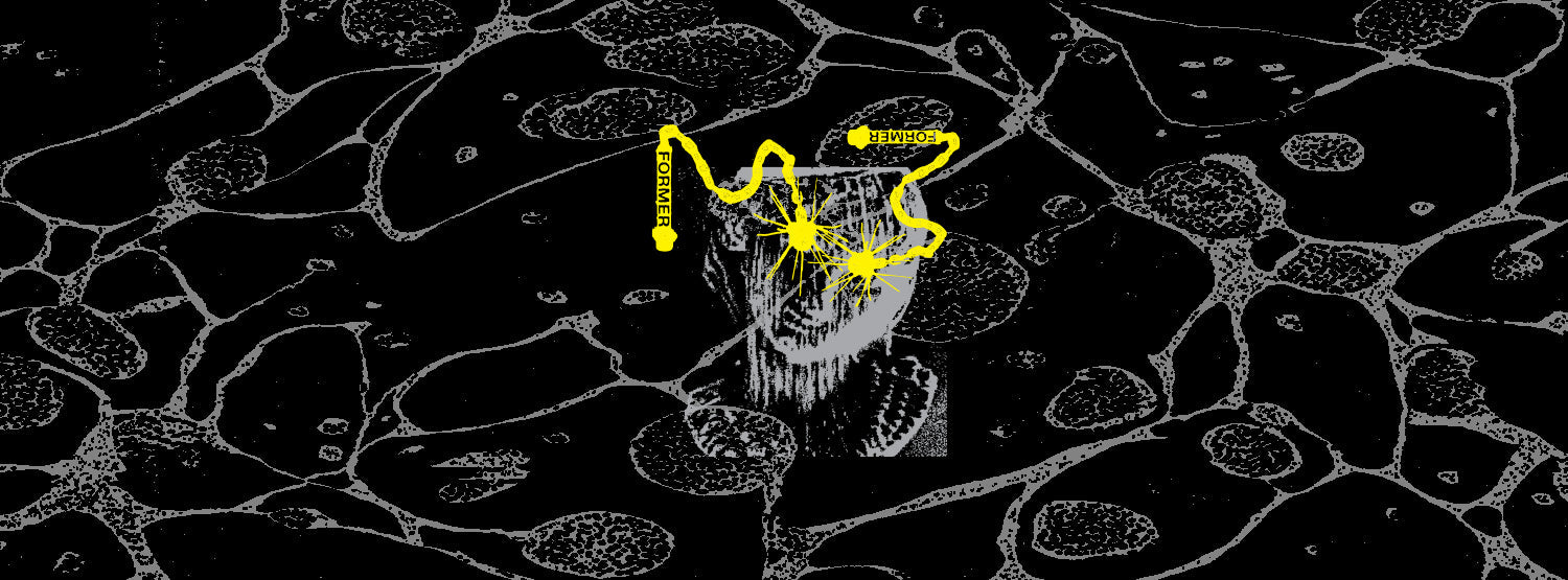 Collection 3 // 2025