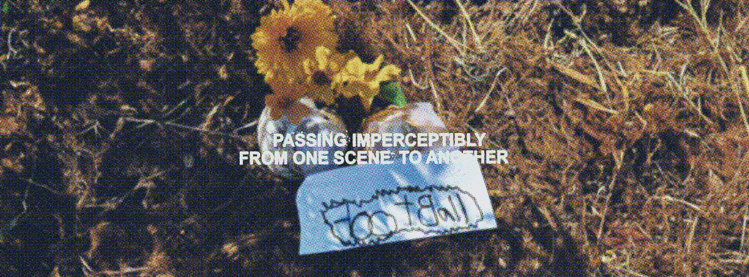 Collection 4 // 2025