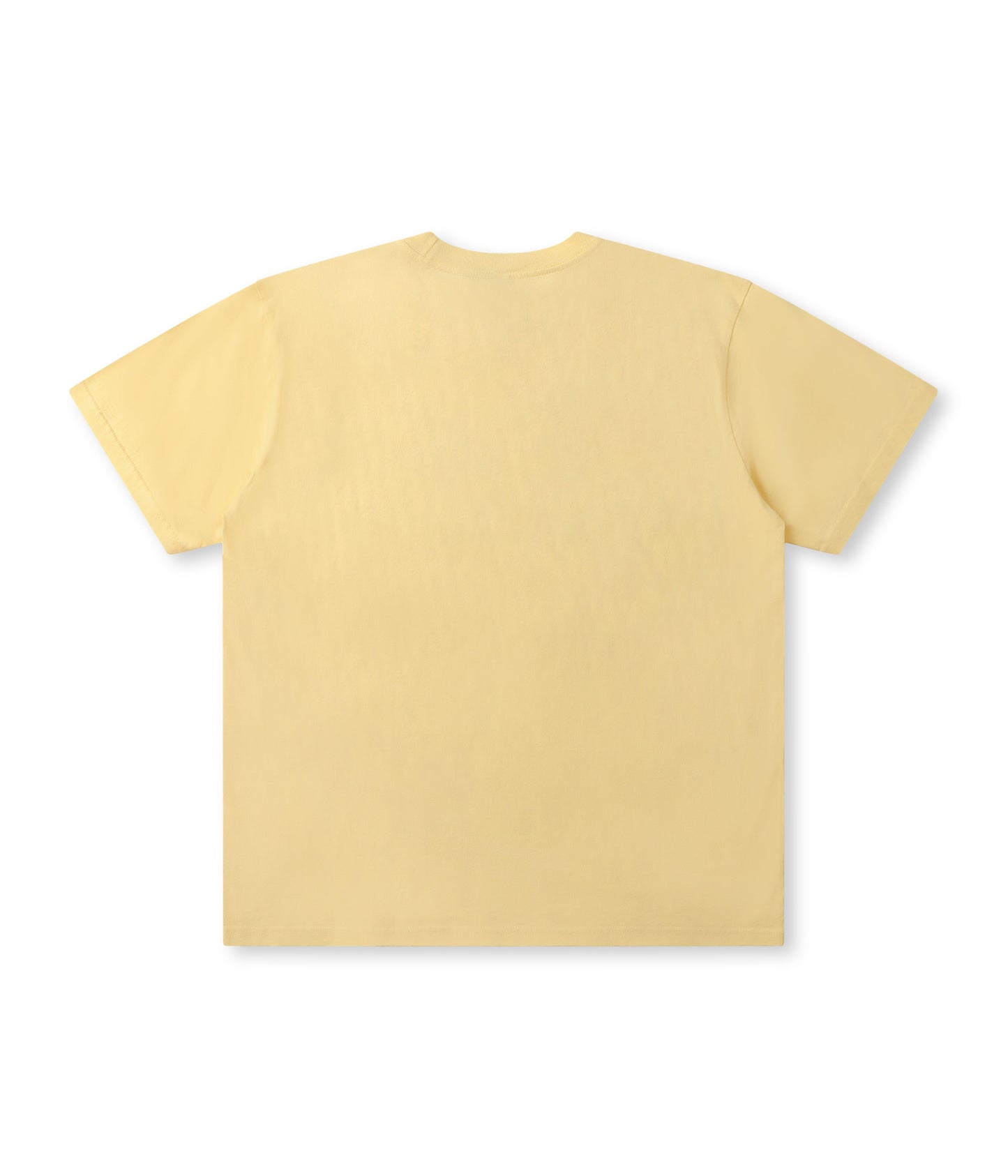PARLIAMENT T-SHIRT // WASHED FLAX
