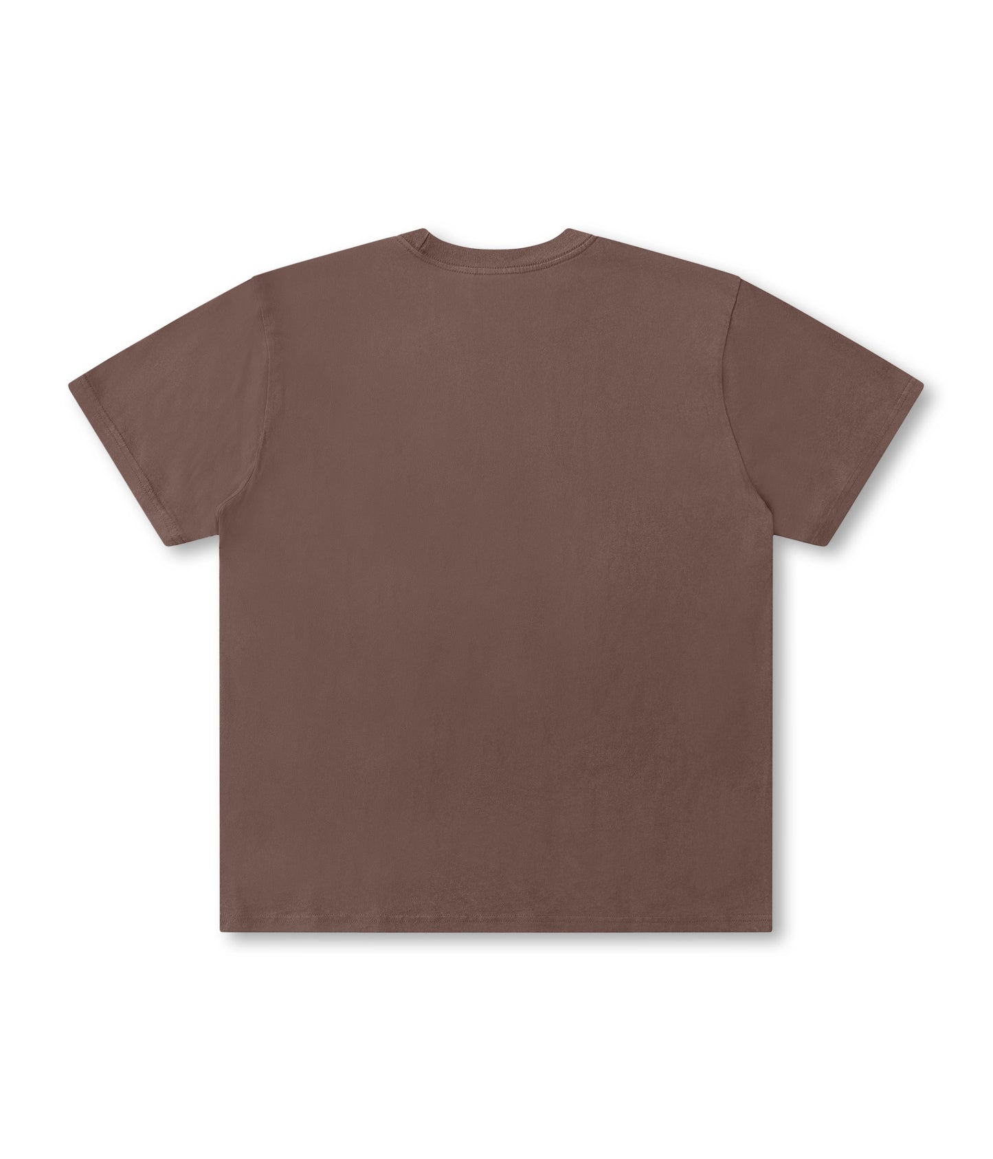 PROSCRIPTION T-SHIRT // WASHED CHOC