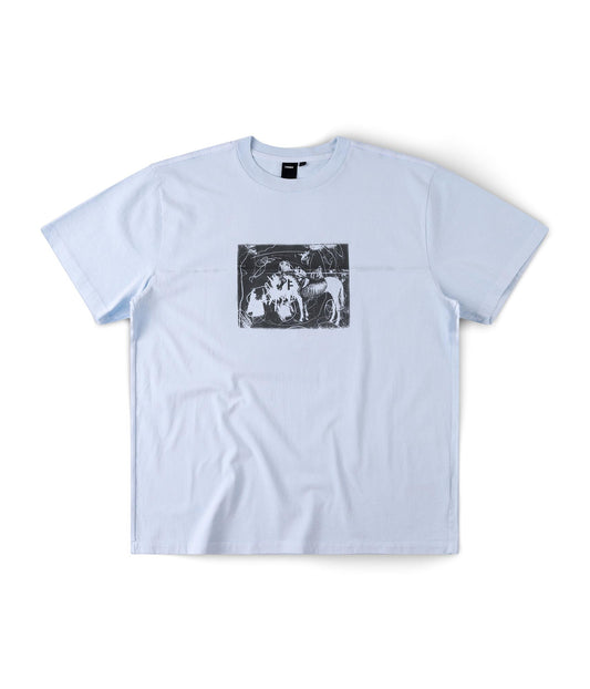 FORMER X-ray T-shirt in WASHED SKY - Destroyed By Dane Collection