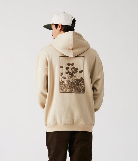 EVIDENT HOOD // STONE