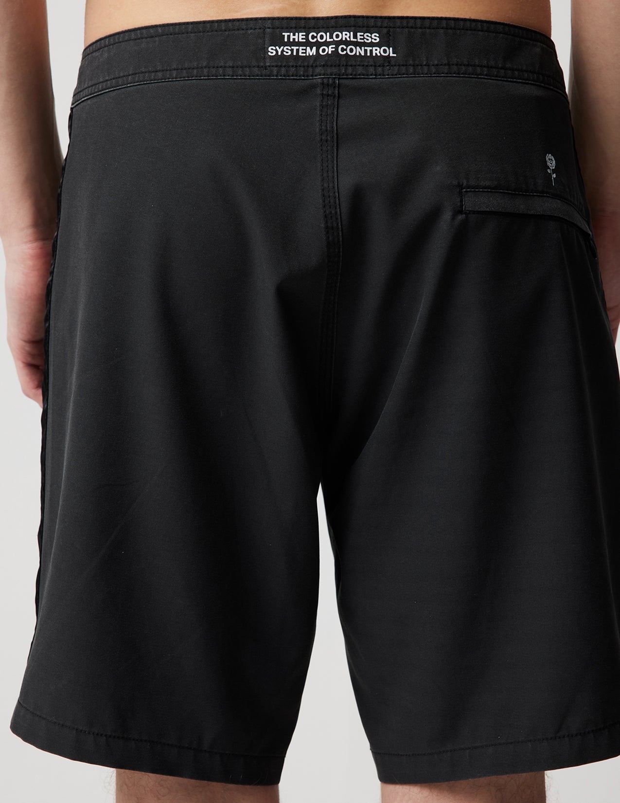 'Colorless Trunk' Black